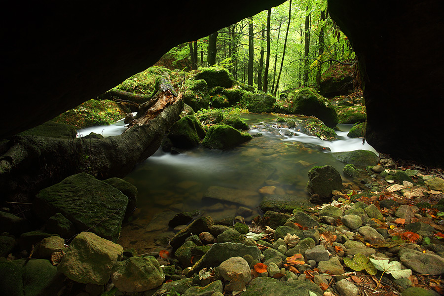 Suchá Kamenice