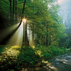 Kamenice u Soorgrundu